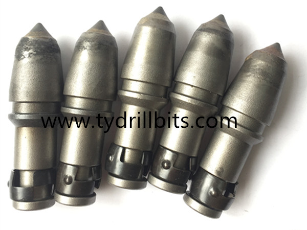 19mm hakoran harsashi.jpg